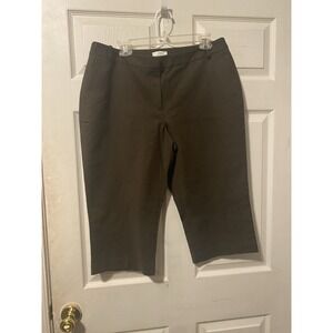 Ann Taylor Loft Julie Brown Bermuda Shorts- Sz 14